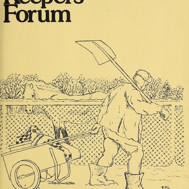 Read the full blog post