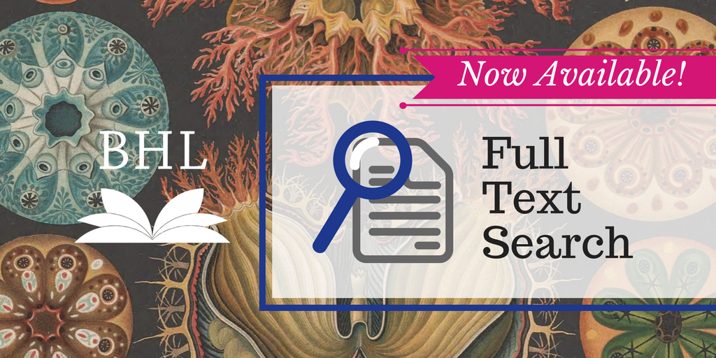 Read the full blog post