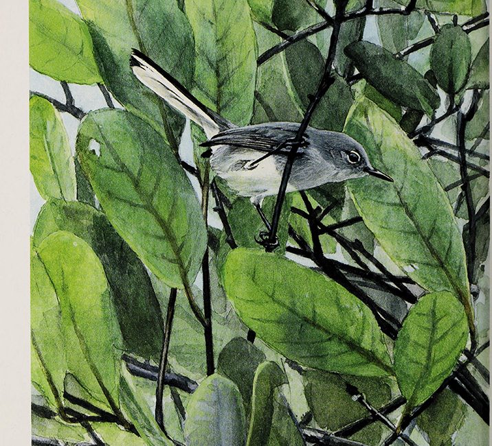 Read the full blog post