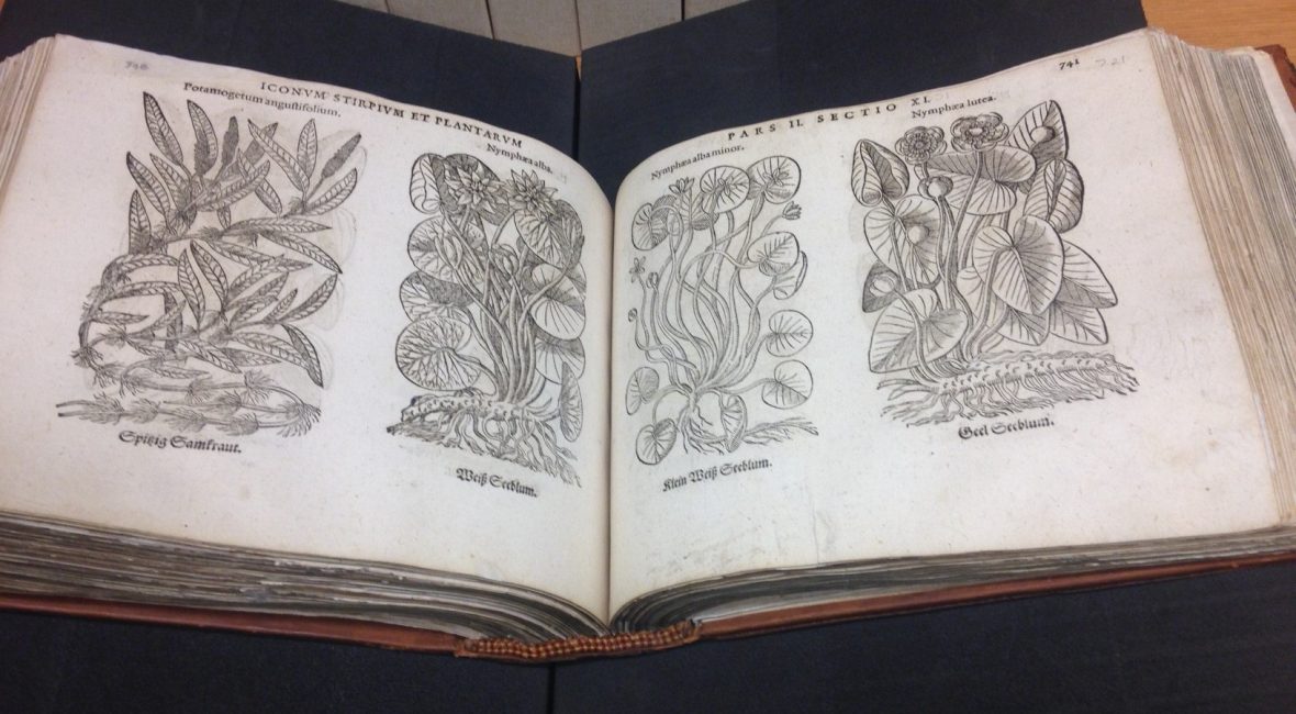 Read the full blog post