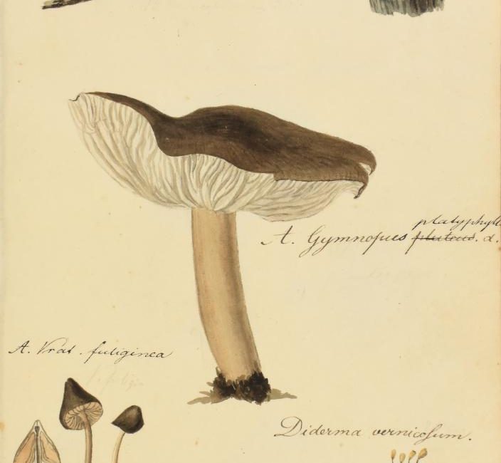 Read the full blog post