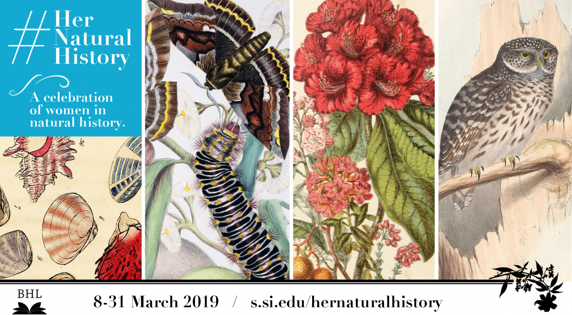 Read the full blog post