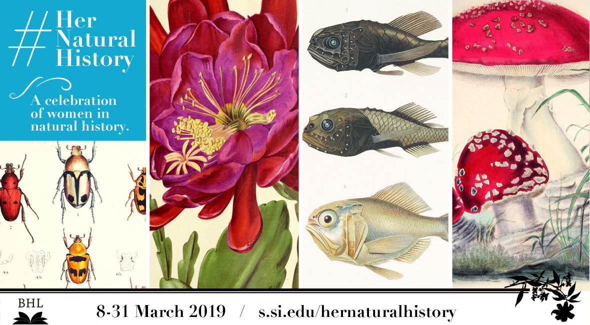 Read the full blog post