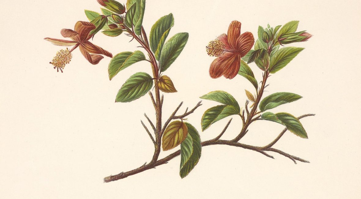 Read the full blog post