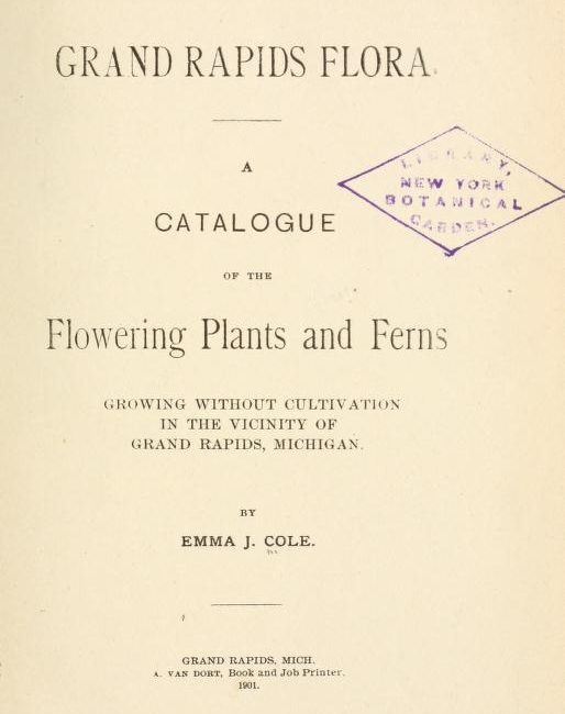 Read the full blog post