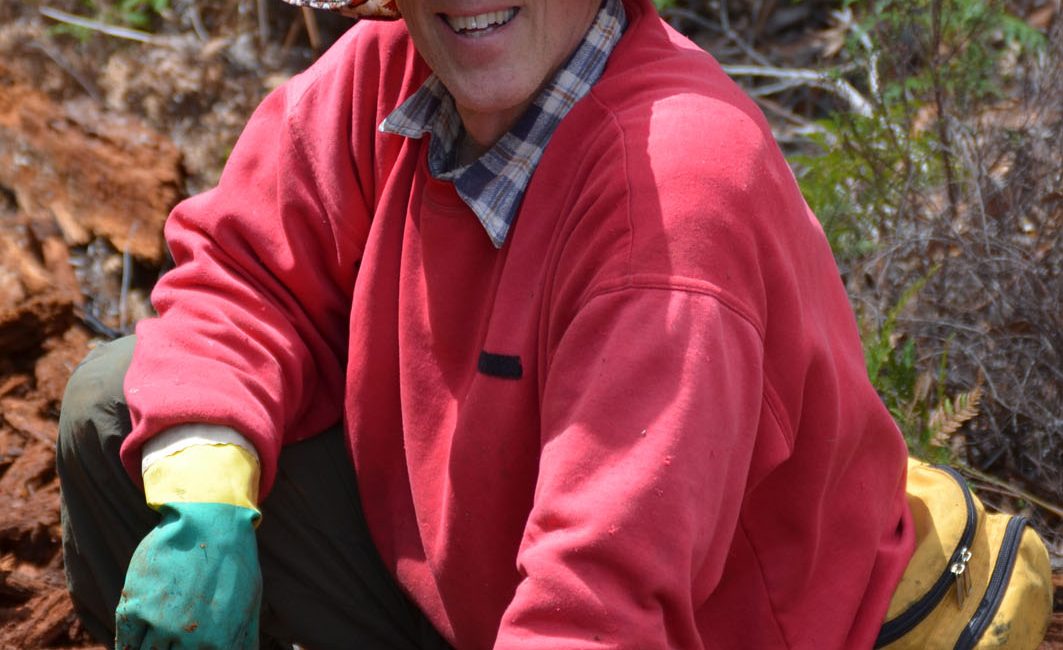 Read the full blog post