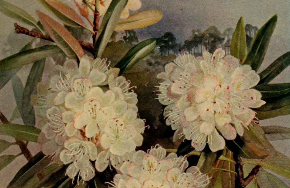 Read the full blog post