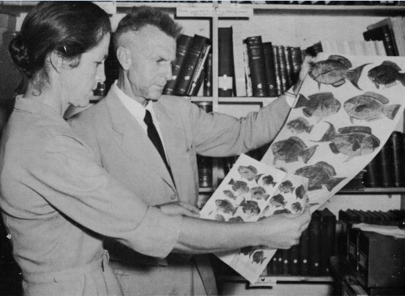 Read the full blog post