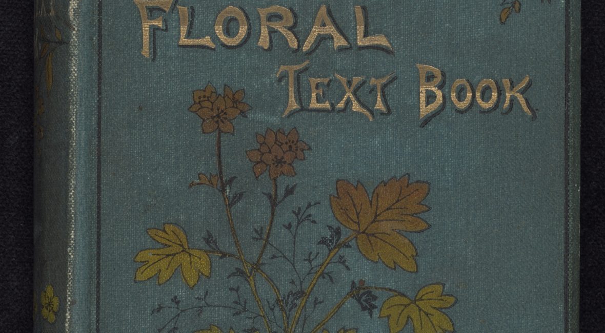 Read the full blog post