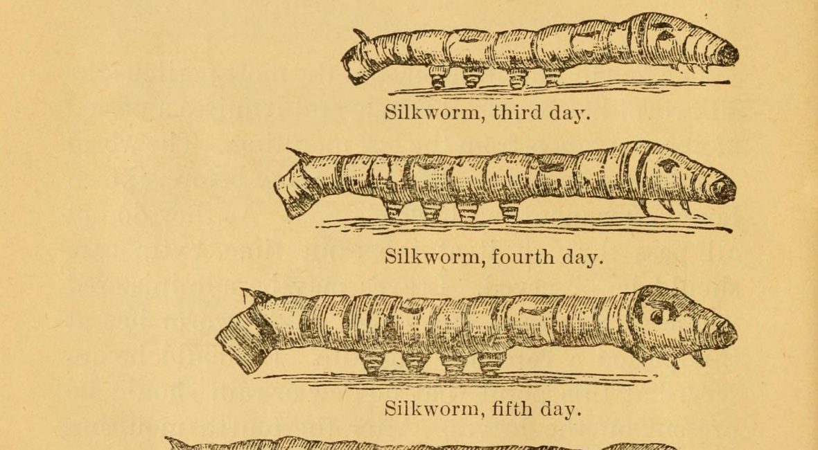 Read the full blog post