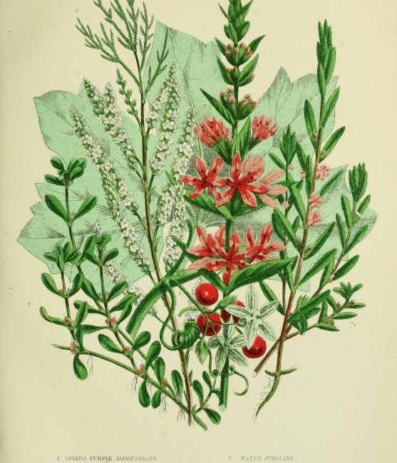 Read the full blog post