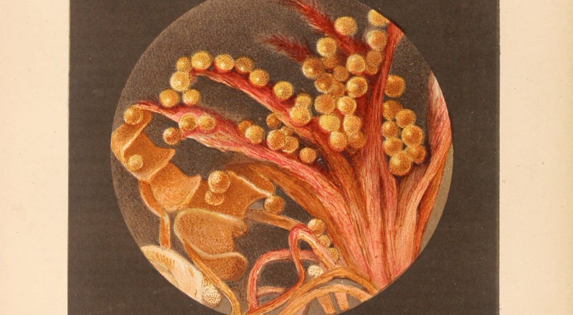 Read the full blog post