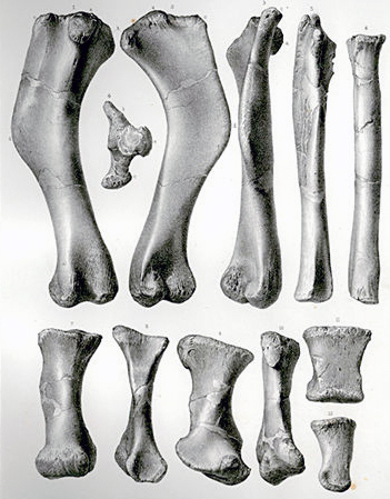 Read the full blog post