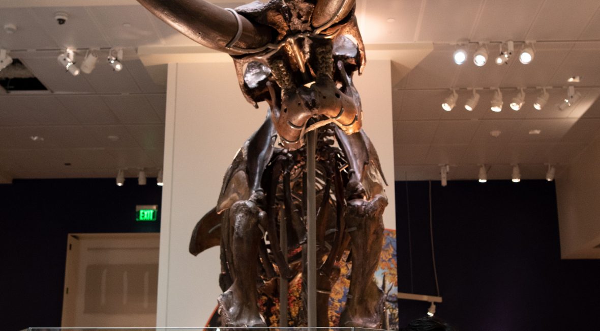 Read the full blog post