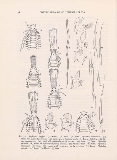 Read the full blog post