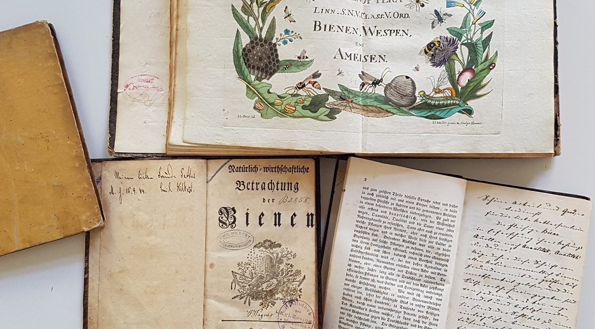 Read the full blog post