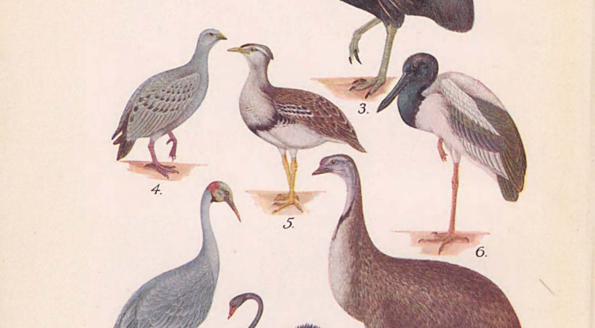 Read the full blog post