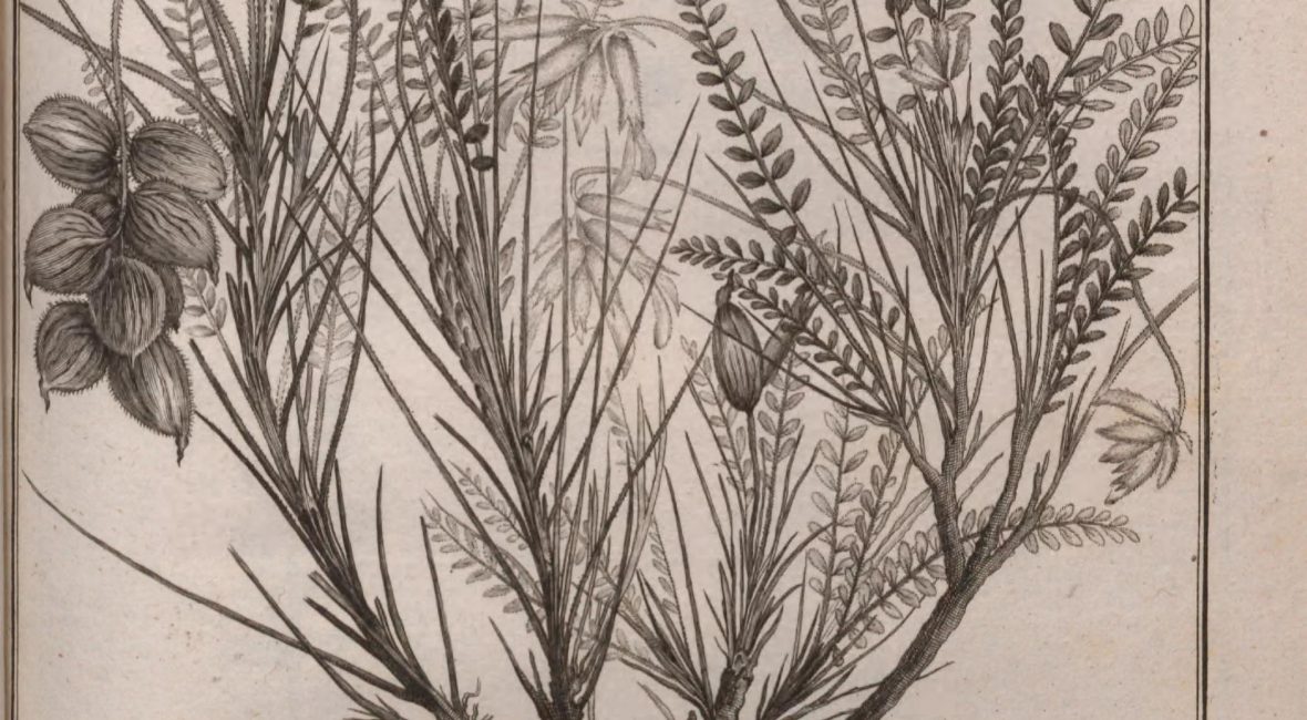 Read the full blog post