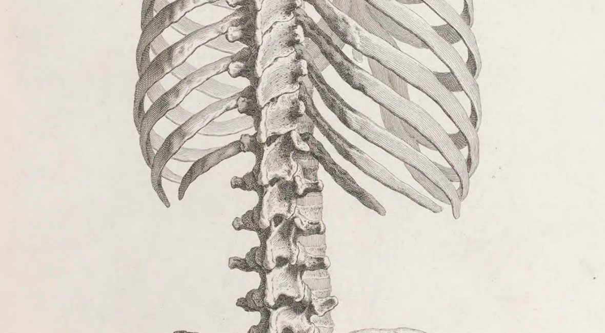 Read the full blog post