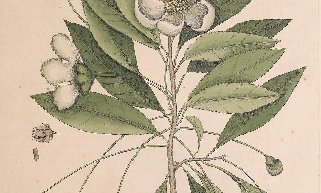 Read the full blog post