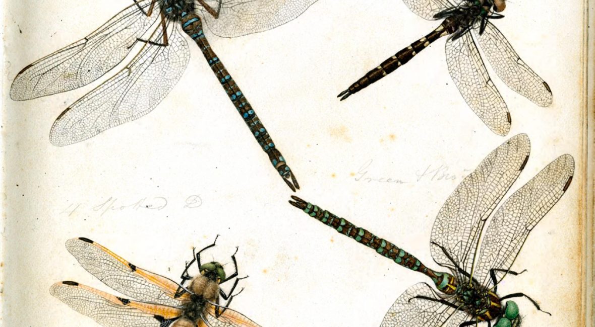 Read the full blog post