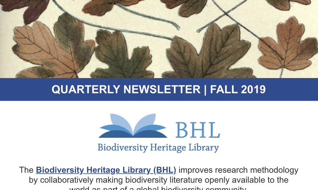 Read the full blog post