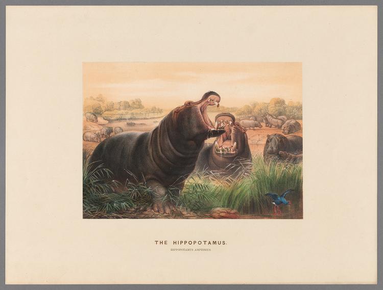 Read the full blog post