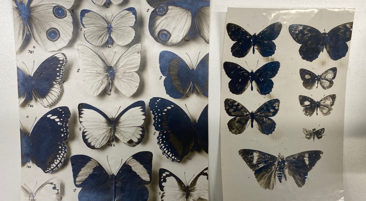 Read the full blog post