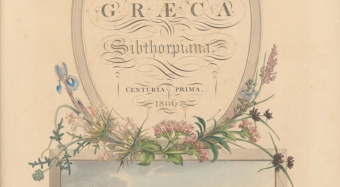 Read the full blog post