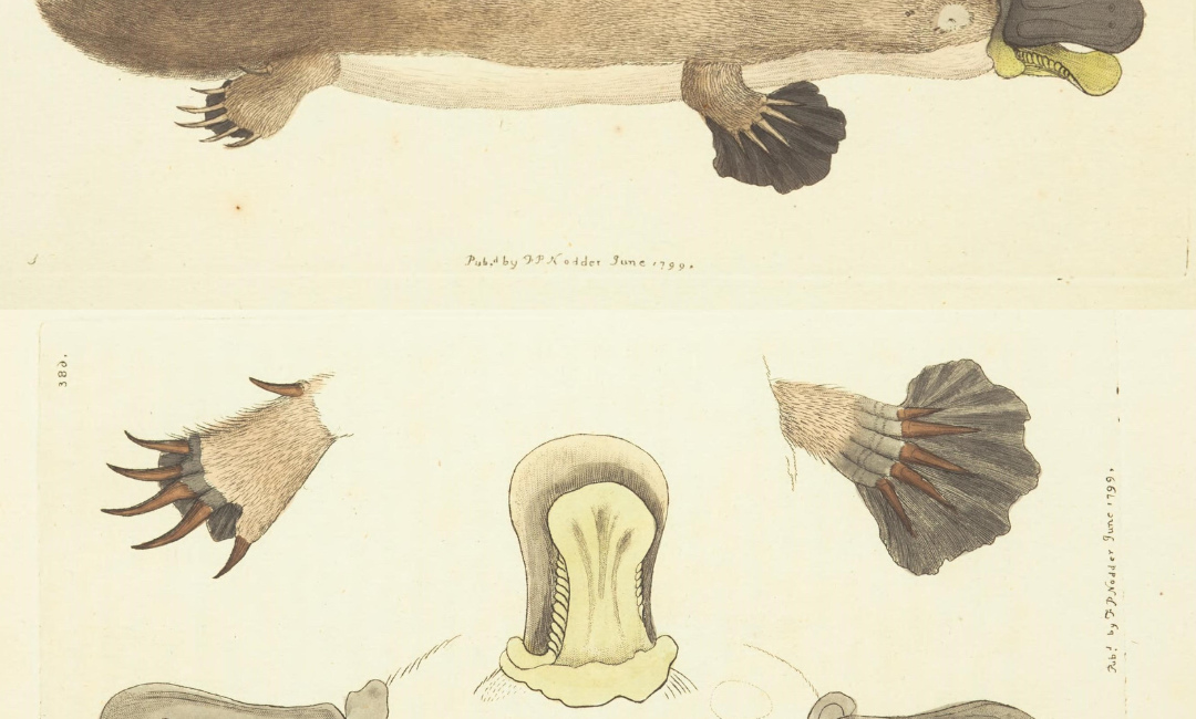 Read the full blog post