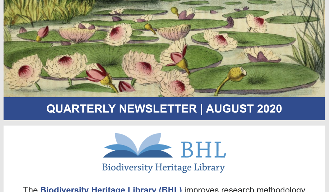 Read the full blog post