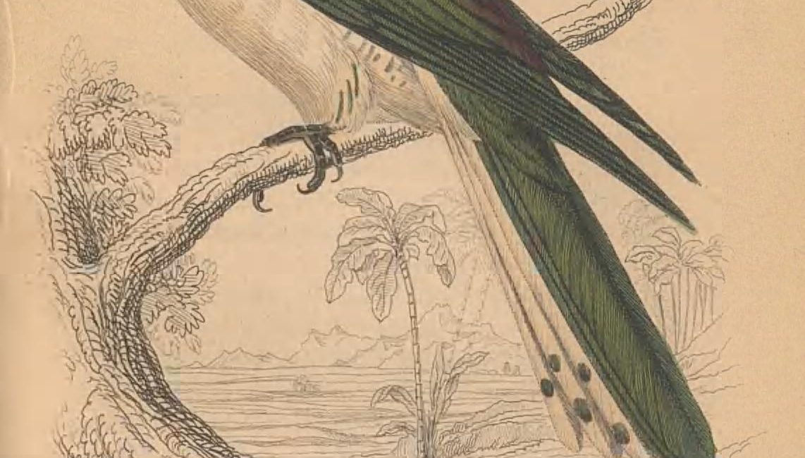 Read the full blog post