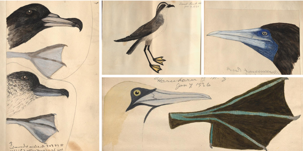 Read the full blog post