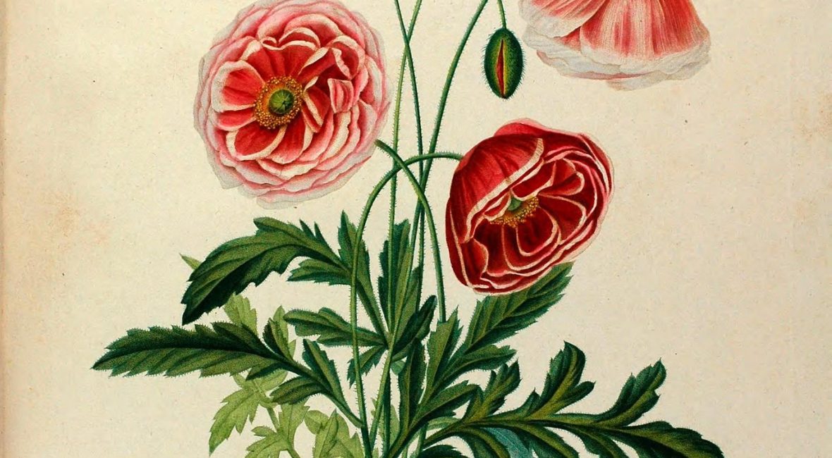 Read the full blog post