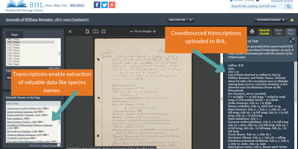 Read the full blog post