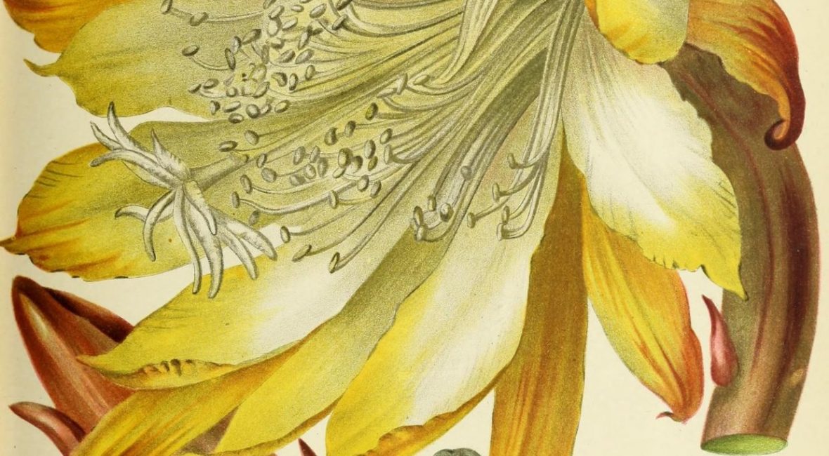 Read the full blog post