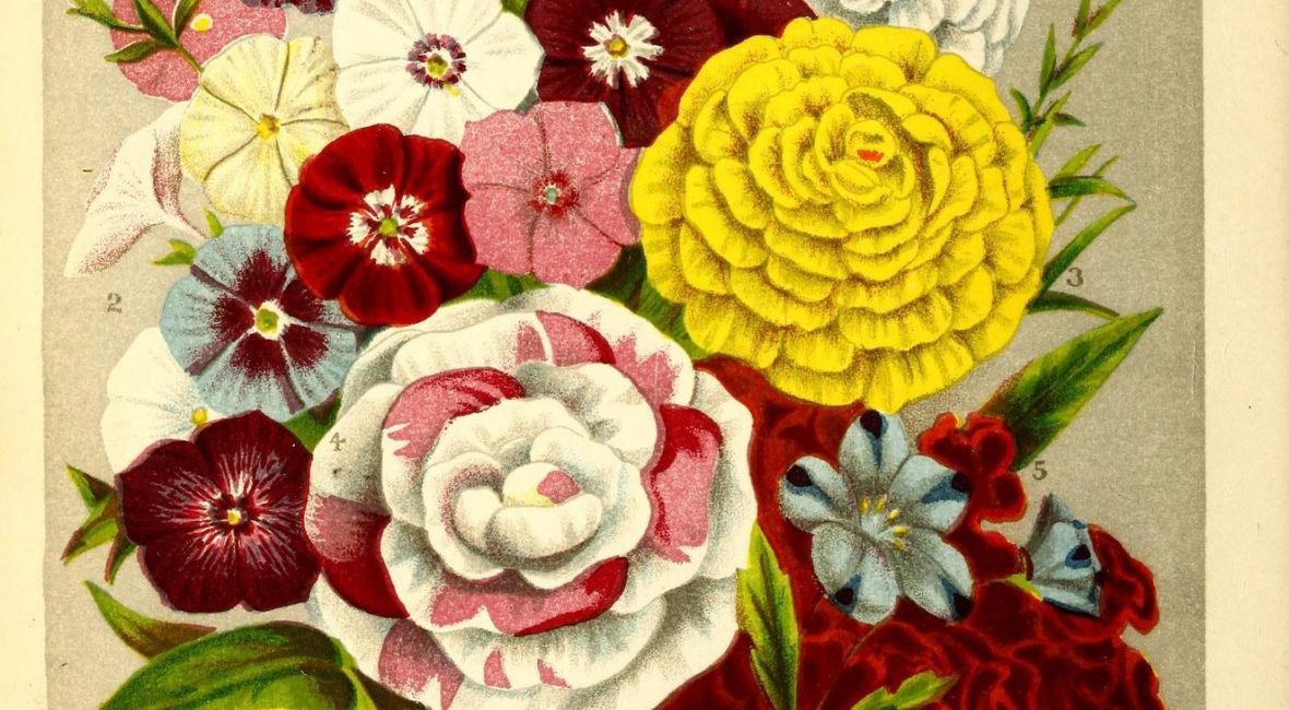 Read the full blog post