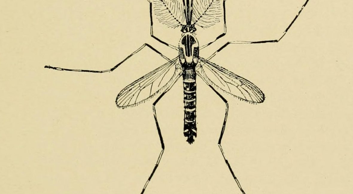 Read the full blog post