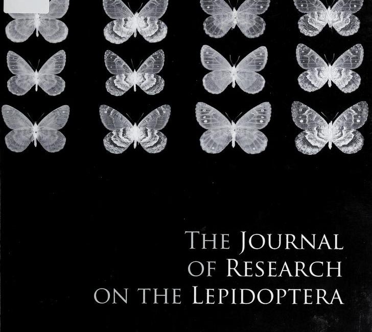 Read the full blog post