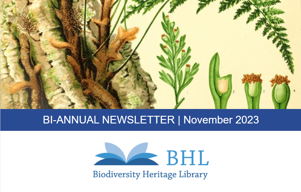 Read the full blog post