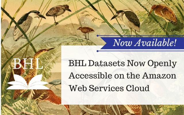 Read the full blog post