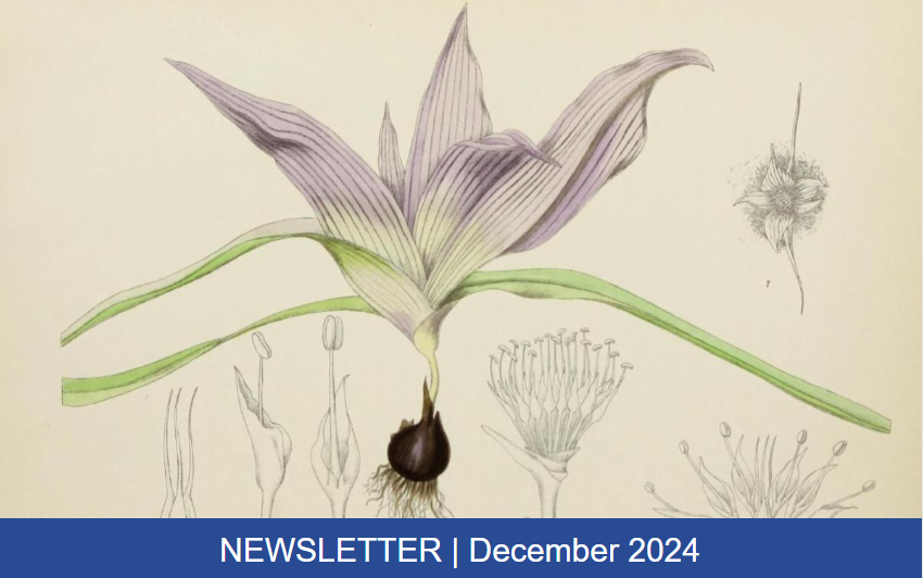 Read the full blog post