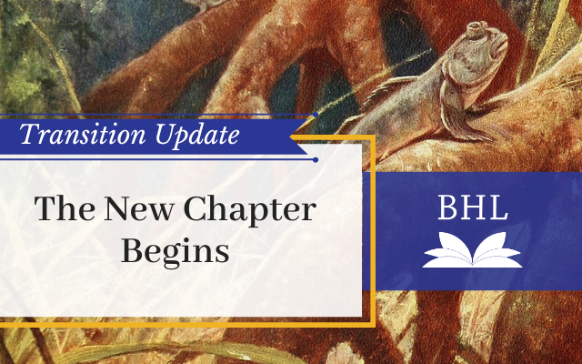 BHL Transition Update #7